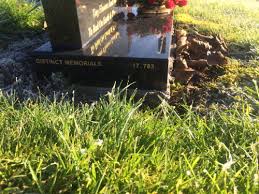 The original old dalbeth cemetery which is the smaller, and st peter's cemetery, which is huge, well maintained and is still in use. St Peter S Dalbeth Cemetery Lanarkshire Page 2 Rootschat Com