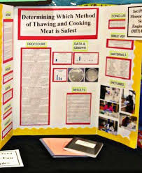 Biology Science Fair Projects For 11th Grade Science Fair Display Board High School Grades 9 12 Example Display Board Title Centered Science Fair Display Board Science Fair Science Fair Projects Boards