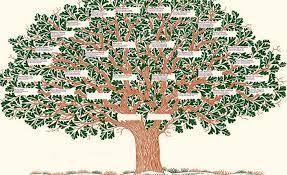 E Devlet Soy Agacini Dogru Sorgulamanin Yolu Nedir