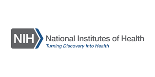 Nih Logo Design National Institutes Of Health Logo Design Health Health Logo