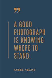 Instagram Stories Templates Elm Photographer Quotes Quotes About Photography Design Quotes