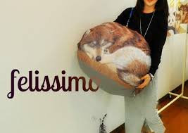 可愛い布団カバーと布団収納袋クッションになるフェリシモよりおしゃれ寝具 布団収納 布団収納袋 布団カバー