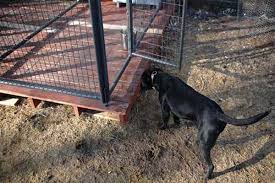 How To Build A Dog Kennel The Deck Building A Dog Kennel Dog Kennel Roof Dog Kennel Flooring
