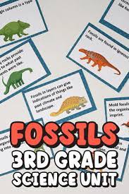 Fossils Evidence Of Earth S History Video Video Teacher Resources Third Grade Science 4th Grade Science