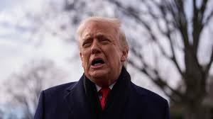 Donald Trump threatens tariffs on countries that don't support Greenland  takeover plan | SBS News