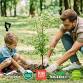 Tree Tenders Training: Tree Care 101