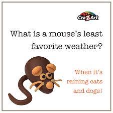 Jokerz has over 2,000 funny riddles for kids and adults. Funny Jokes For The Entire Family Both Adults And Kids Sundayfunnies Cat Dog Mouse Funny Jokes For Kids Jokes For Kids Toddler Jokes