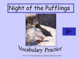 Nights Of The Pufflings Vocabulary Ppt Download