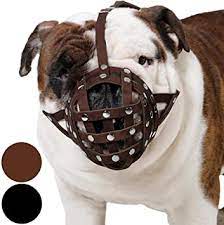 Enhance your purchase mg duravent 46dvasc 4 x 7 direct vent storm collar ideal for residential industrial applications Collardirect Maulkorb Fur Boxer Englische Bulldogge Amerikanische Bulldogge Sicheres Leder Braun Amazon De Haustier