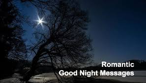 Good night wishes for her: Top 40 Romantic Good Night Messages Quotes For Wife Wikirote