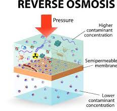 We did not find results for: Osmosis In Plants What Does It Mean Udemy Blog