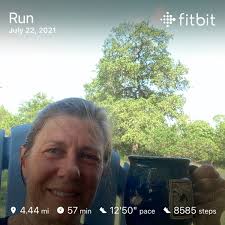 Grubby fun in the sun. A slightly soggy walk in Thorndon