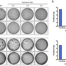 Namun, dia jatuh ke dalam perangkap musuh dan hanya bisa menyaksikan para pahlawan negara itu. Pdf Fasn Inhibition And Taxane Treatment Combine To Enhance Anti Tumor Efficacy In Diverse Xenograft Tumor Models Through Disruption Of Tubulin Palmitoylation And Microtubule Organization And Fasn Inhibition Mediated Effects On Oncogenic Signaling And