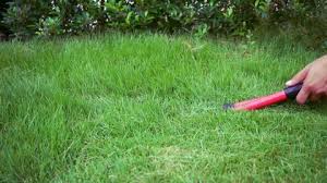 There are two basic categories of manual grass shears: Grass Cut With Scissors Stock Footage Video 100 Royalty Free 11221673 Shutterstock