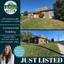 Hannah Bibee (@realtorhannahtnva) • Instagram photos and videos