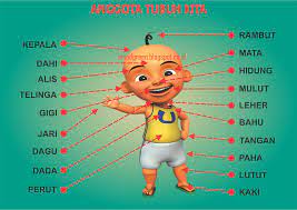 Gambar mewarnai hewan, pemandangan, bunga, kendaraan untuk anak sd, tk dan paud. Contoh Gambar Anggota Tubuh Anak Laki Laki Gambar Bagian Tubuh Kartu Flash Tubuh