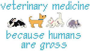 These custom made cross stitch portrait patterns can be personalized to really bring out the personality in everyone. Veterinary Medicine Because People Are Gross By Ragingstitches 4 00 Modern Cross Stitch Xstitch Patterns Cross Stitching
