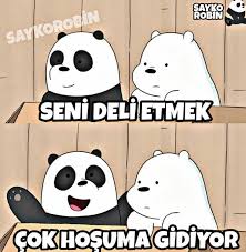 Tam Tersi O Beni Deli Ediyor 2020 Komik Seyler Komik Deyisler Pandalar
