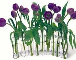 Les Eprouvettes De Verre Clair Flex Vase 12 Lie Avec Connecteurs Claire Une Toile Vierge Pour L Expression Florale Toile Vierge Verre Clair Deco Jardin