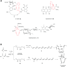 Welcome to hg machinery.better beer equipment brewing better beer! Biosynthesis Of Alkyne Containing Natural Products Rsc Chemical Biology Rsc Publishing Doi 10 1039 D0cb00190b