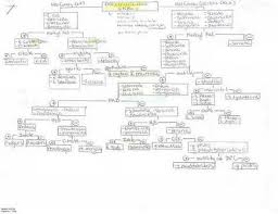 Flow Chart Microbiology Unknown My Favorite Flow Chart So