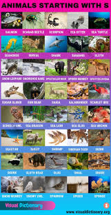 Animals That Start With S Huge List Of 120 Animals Starting With S Visual Dictionary Visual Dictionary Animals Sand Cat