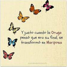 Mariposa Positive Phrases Frases Motivational Phrases