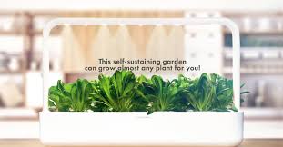 If your microgreens are grown in soil, you're introducing that soil to the kitchen. Want To Eat Healthy Try Growing Lettuce On Your Kitchen Counter Igrow
