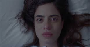 Edition 2024 — Festival de Cine del Valle de Guadalupe®