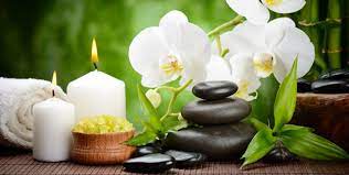 Wellness and healing for everyone. Wellness Forsthaus Gruna In Chemnitz