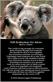 Pin By Rob Taylor On Poems Koala Bear Koala Animals