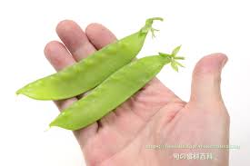 オランダ エンドウ