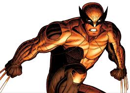 Image result for wolverine