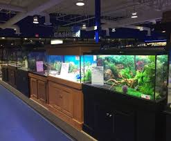 Aquariums Aquarium Adventure Columbus
