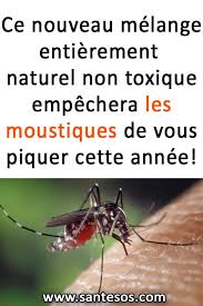 Ce Nouveau Melange Entierement Naturel Non Toxique Empechera Les Moustiques De Vous Piquer Cette Annee Moustuques Melangenaturel Astucesnaturelles