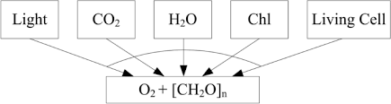The outputs of photosynthesis include oxygen and glucose † the inputs of cellular respiration are oxygen and glucose. Cooperative Division Of Cognitive Labour The Social Epistemology Of Photosynthesis Research Springerlink