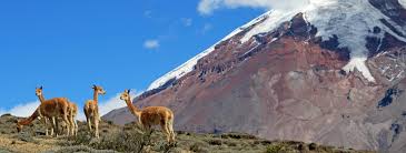Find what to do today or anytime in june. Ecuador Humboldts Fantastische Reise Zeit Reisen