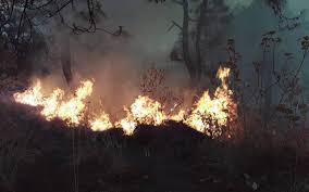 Los incendios forestales son fuegos fuera de control en un área natural, como bosques, pastizales o praderas. Aumenta El Numero De Incendios Forestales En Valle De Bravo El Sol De Toluca Noticias Locales Policiacas Sobre Mexico Edomex Y El Mundo
