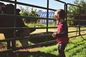 I torinesi non erano particolarmente avvezzi a piegarsi alle volontà dei savoia. 10 Motivi Per Cui Il Piemonte Dovrebbe Diventare Capitale Mondiale Del Cibo