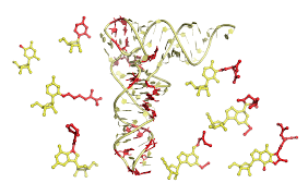 This section describes considerations for isolation and quantification of rna from different sample it also discusses the best practices for rna, including how to store and stabilize rna samples, how to. New Way To See Rna Could Help Fight Pathogens Hhmi