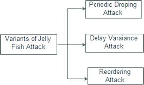 Jellyfish Attack Types Download Scientific Diagram