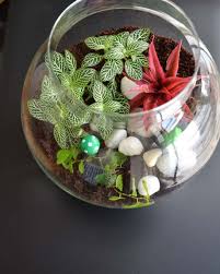 Where Plants People Get Together Houseplants Succulents Ceramic Pots Planters Terrariums Much More Shop Onlin Terrarium Ceramic Pots Terrarium Plants