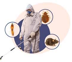Buy Bed Bug Killer Spray Trusted By The Pros – Powerful Formula Quickly  Kills Bedbugs - Maximum Protection. Bed Bug Sniper By Ecoganic Uses The  Magic Of Nature To Rid Your Home