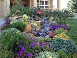 Pin On Texas Xeriscape