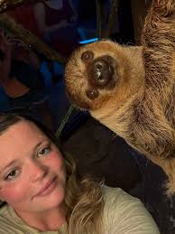 Rare Marbled Salamander Sighting in Rhode Island Garden