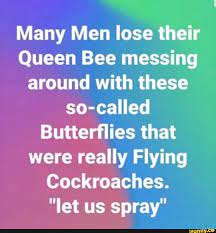 Definitely queen bees is in my personal top ten of best movies ever. Many Men Lose Their Queen Bee Messing Around With These So Called Butterï¬‚ies That Were Really Flying Cockroaches Let Us Spray Ifunny Queen Bees Many Men Bee