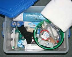 A First Class Equine First Aid Kit Health Horsetalk Co Nz First Aid Kit First Aid For Kids Veterinarians Medicine