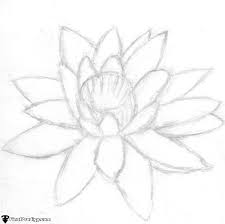 How To Draw A Water Lily Finalprodigy Com They had so much fun testing the aqua lily pad with their cousins.