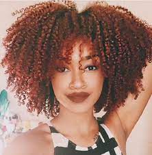 Pin On Natural Hair Styles Colors