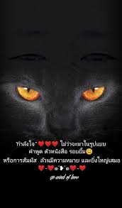 ป กพ นโดย สายลม แห งร ก ใน wind of love